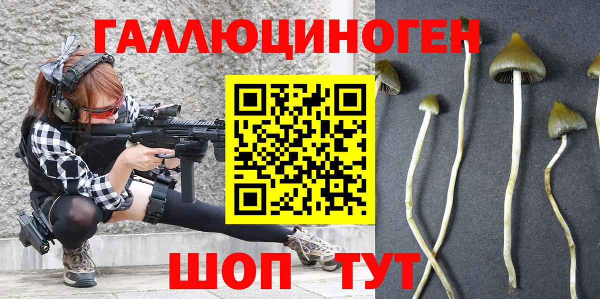 Псилоцибиновые грибы ЛСД  Вход с VPN  Заводоуковск 